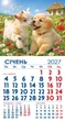Календар 2027 магніт. Козеня і цуценя - изображение 1