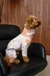 Костюм Dogsbomba тай-дай персик D-254 розмір 6 (2000000104126) - изображение 1