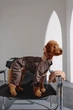 Дощовик для собак трансформер шоко беж M-150 розмір 9 - изображение 2