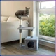 Ігровий комплекс для котів RIAS з будиночком і полицями 30x50x85 см Grey (3_08781) - зображення 5