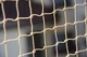 Сітка на балкон 5x3m для кота посилена дротиком Uv комплект без свердління 30*30 - изображение 7