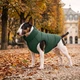 Курточка для собак WAUDOG Re-clothes двусторонняя, M47, A 44-47, B 69-72, C 41-44, изумрудная - изображение 2