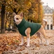Курточка для собак WAUDOG Re-clothes двусторонняя, XS22, A 20-22, B 33-35, C 19-21, изумрудная - изображение 2