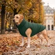 Курточка для собак WAUDOG Re-clothes двусторонняя, L65, A 62-65, B 87-89, C 60-65, изумрудный - изображение 2