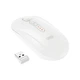 Мышь беспроводная XO M13 USB 2.4G/Bluetooth белая - изображение 1