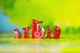 Gra planszowa Portal Games Żaroliść (edycja polska) (5905794221639) - obraz 7