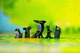 Gra planszowa Portal Games Żaroliść (edycja polska) (5905794221639) - obraz 8