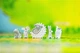 Gra planszowa Portal Games Żaroliść (edycja polska) (5905794221639) - obraz 9