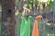 Туристичний мотуз Sea To Summit Clothesline білизняний 3.5 м (9327868008698) - зображення 2