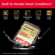 Карта пам'яті Sandisk 256GB SD C10 UHS-I U3 R180/W130MB/s Extreme V30 (SDSDXVV-256G-GNCIN) - зображення 2