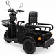 Электроскутер трехколесный ATLAS Ant 800W Black - изображение 2