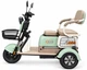 Электроскутер трехколесный ATLAS Elegant Trike 600W Green - изображение 3