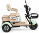 Электроскутер трехколесный ATLAS Elegant Trike 600W Green - изображение 4
