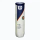 Тенісний М'яч Wilson Roland Garros All Court 4-ball(WRT116400) 3 - изображение 3