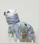 Дождевик DogsBomba трансформер мята серый размер 4 для мелких пород собак джек-расселов ши-тцу 3в1 съемный капюшон штанишки водоотталкивающая плащевая ткань кнопки на груди регулируемый обхват (М-149/4) - изображение 1
