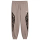Штани спортивні PUMA SPORT ANIMAL Pants Puma 637612-81 36 Бежевий (4070033327647) - зображення 4