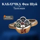Кольцо безразмерное Талисман изобилия и денежного потока Фен шуй в серебрянном цвете - изображение 1