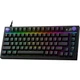 Клавиатура Logitech G316 X 75 RGB Tactile Black (920-014291) [179719] - изображение 3