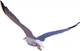 Gra planszowa Luck Duck Akropolis (787790618195) - obraz 7