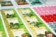 Gra planszowa Portal Games Osadnicy: Narodziny Imperium (5902560380705) - obraz 16