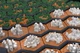 Zestaw dodatków do gry planszowej Rebel Terraformation of Mars Big Storage Box + 3D Elements (5902650615861) - obraz 9