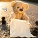 Ведмедик для мовлення Peekaboo Bear коричневий 30 см, музичний та інтерактивний - изображение 3