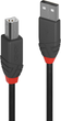 Kabel Lindy USB-A - USB-B 2.0 10 m Black (4002888366779) - obraz 2