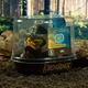 Фігурка Качка Гімлі Володар Перстень The Lord of The Rings: Gimli Cosplaying Rubber Duck TUBBZ 424918 - зображення 8