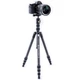 Штатив Vanguard Vesta TB 204CB (Vesta TB 204CB) 4423094 - изображение 6
