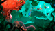 Игра Microsoft Xbox 360 Rayman Origins Collector's Edition Английская Версия DVD 2шт - изображение 2