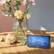 Метеостанція Meteo SP601 - зображення 6
