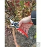 Секатор Felco 11 для винограда и веток до 25 мм - изображение 3