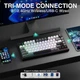 Магнітна клавіатура Aula F75 HE Black Grey White, Hall Effect, Rapid Trigger, 8000 Гц опитування, RGB підсвічування - зображення 7