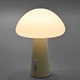 LED настольная лампа с аккумулятором VIDEX VL-TF25BG 4W 3000-6500K+RGB Beige - изображение 12