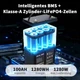 Аккумулятор LifePo4 100Ah 12V 1280Wh DATOU BOSS для ИБП ( Литий железо фосфатный ) BMS (AKBKDB04) - изображение 5