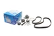 Комплект ГРМ + ПНВТ + помпа VW LT 2.5SDI/VW T4/Volvo S70/S80/V70 2.5TDI 96-06 (122x26.5 / 81x21) (PA758) - изображение 1