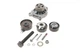 Комплект ГРМ + ПНВТ + помпа VW LT 2.5SDI/VW T4/Volvo S70/S80/V70 2.5TDI 96-06 (122x26.5 / 81x21) (PA758) - изображение 6