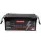 Батарея аккумуляторная Vitals ALFP24100ab - изображение 3