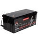 Батарея аккумуляторная Vitals ALFP24100ab - изображение 4