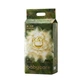 Підгузки Babycare Jinshan Camellia M (6-11 кг), 50 шт - зображення 1