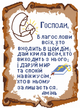 Алмазная мозаика ColorArt 30х40 Икона Оберег дома ST445 - изображение 1