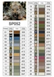 Алмазная мозаика на подрамнике ColorArt Взгляд леопарда 40х50см SPP052 + Подарок лак для покрытия, полная выкладка, квадратные алмазики, набор для творчества и рукоделия - изображение 6