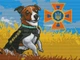 Алмазная вышивка ColorArt 30x40 Пес Патрон ST482 - изображение 2