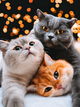 Алмазна мозаїка ColorArt 30х40см Тріо котиків ST484 - зображення 1