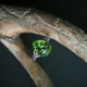 Срібне кільце з хризолітом 3.095ct, вага виробу 2,86 г (60002442) - зображення 3