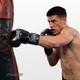 Боксерські рукавички Everlast 12 унцій (12 oz) чорні - зображення 2