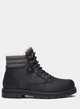 Мужские ботинки Timberland 42 Черный TB0A6CFXW02 - изображение 1