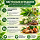 Согревающие пластыри iShanCare с натуральными маслами — до 8 часов комфорта (5 шт) - изображение 4
