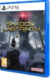 Гра для PlayStation 5 Shadow Labyrinth Blu-ray (3391892035247) - зображення 1