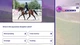 Игра для Nintendo Switch Equestrian Training Код электронный (3701529508066) - изображение 7